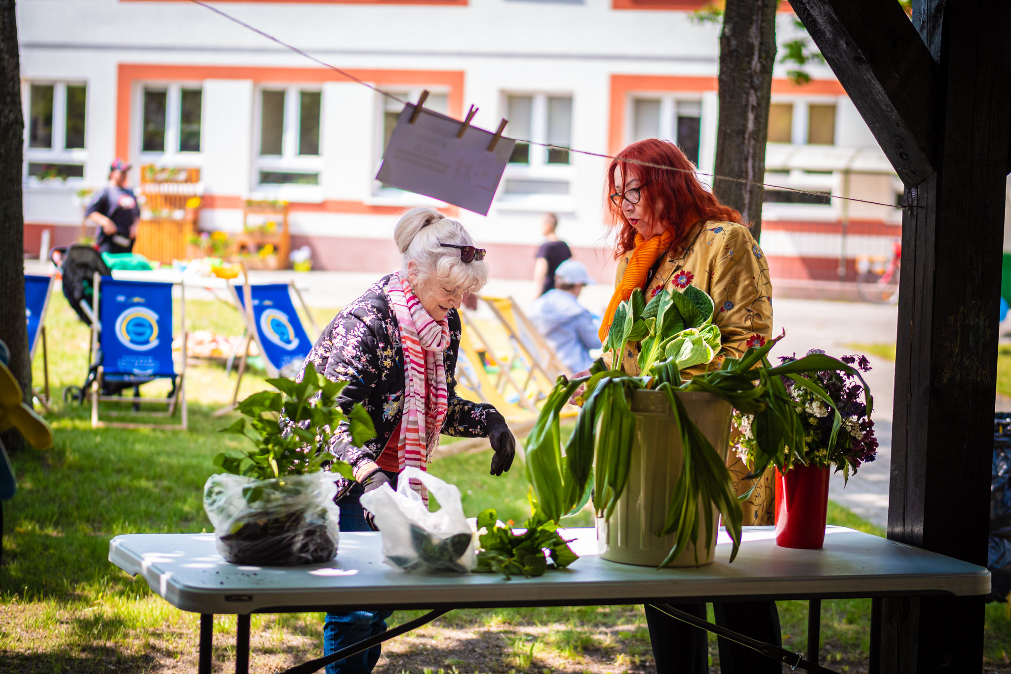 dwie panie stoją przy stole z roślinami doniczkowymi